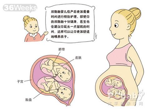 洛阳市妇幼保健院供卵试管婴儿指南