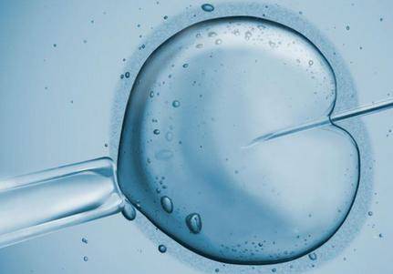 借卵做试管婴儿生育治疗中的胚胎冷冻的适宜条件是什么？