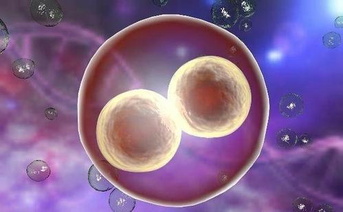有多囊卵巢可以做赠卵供卵代怀医院吗？有三个先决条件