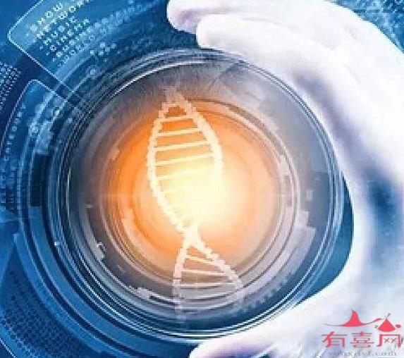中国哪些医院可以做第三代供卵试管助孕，成功率高吗？