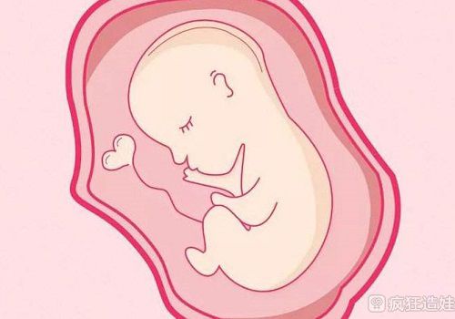 着床预测生男生女准确率真不低,怀孕早晚暗示胎儿性别